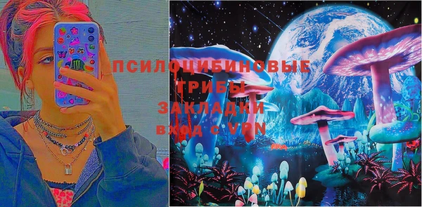 прущая мука Абаза
